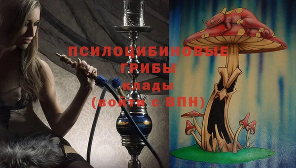 мет Арсеньев