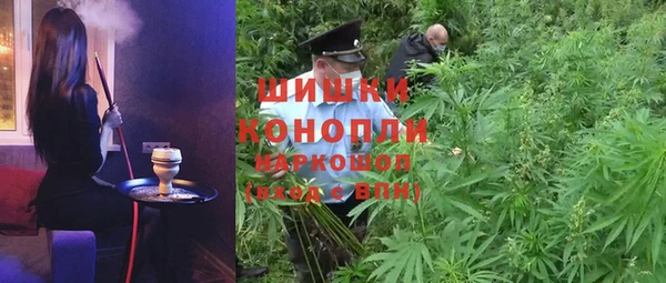 мет Арсеньев