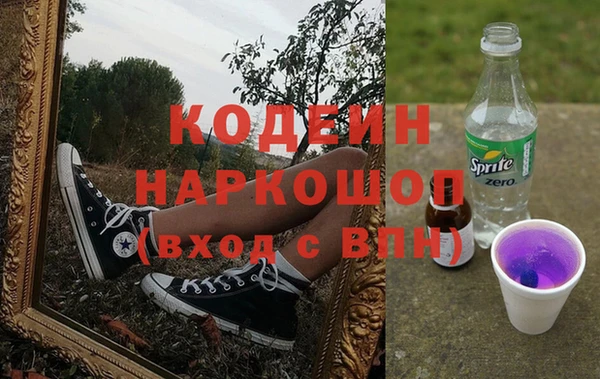 ECSTASY Алзамай