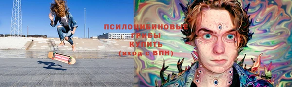 прущий лед Лагань