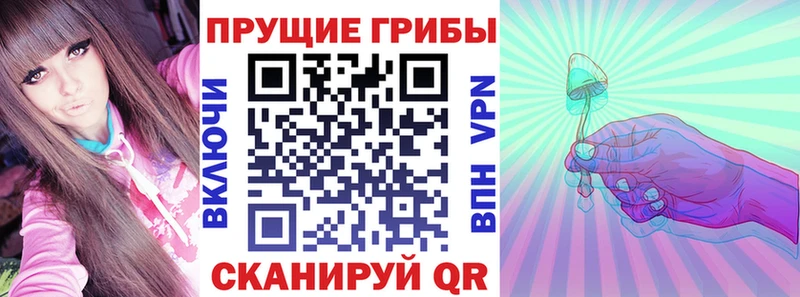 Галлюциногенные грибы мицелий  где найти наркотики  mega tor  Белорецк 